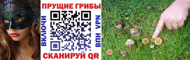 кракен tor  Первоуральск  Псилоцибиновые грибы мухоморы 